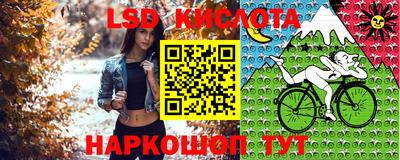 дмт Малоярославец