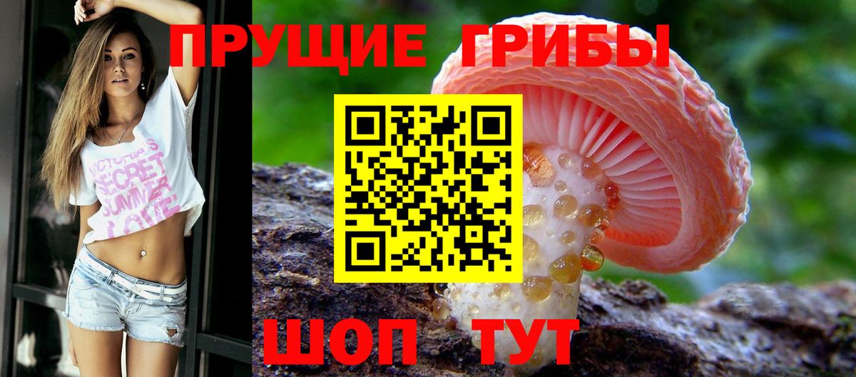 Галлюциногенные грибы ЛСД  Псилоцибиновые грибы Psilocybine cubensis  Владикавказ  Вход с VPN 